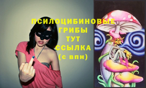 Альфа ПВП Карпинск