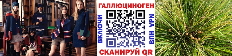 Галлюциногенные грибы прущие грибы  Медвежьегорск 